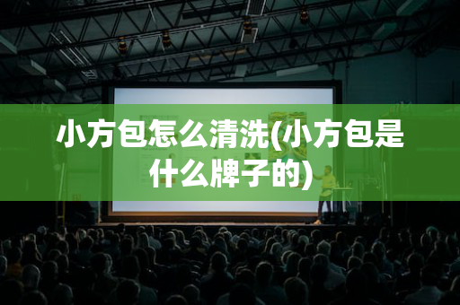小方包怎么清洗(小方包是什么牌子的)