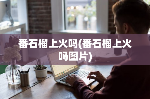 番石榴上火吗(番石榴上火吗图片)