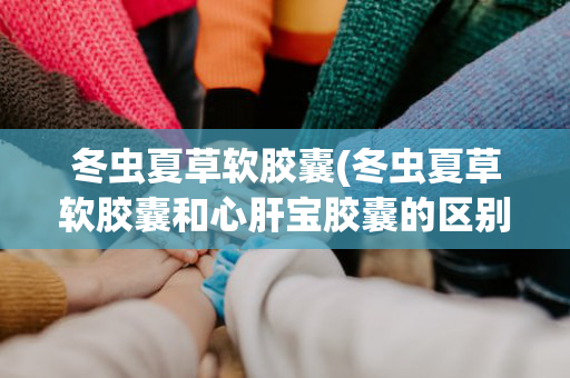 冬虫夏草软胶囊(冬虫夏草软胶囊和心肝宝胶囊的区别)