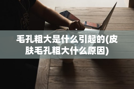 毛孔粗大是什么引起的(皮肤毛孔粗大什么原因)