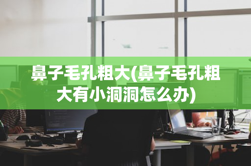 鼻子毛孔粗大(鼻子毛孔粗大有小洞洞怎么办)