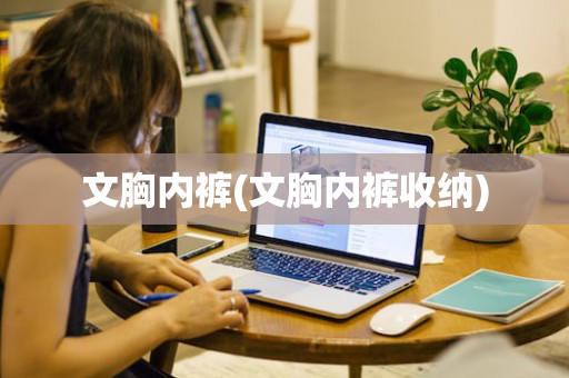 文胸内裤(文胸内裤收纳)