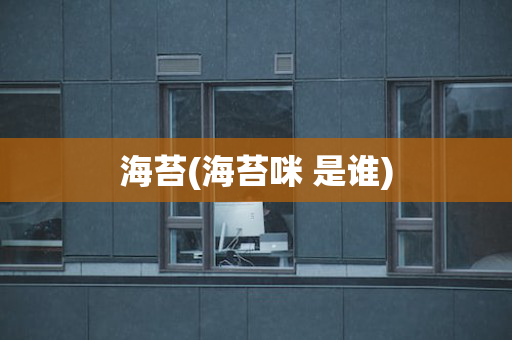 海苔(海苔咪 是谁)