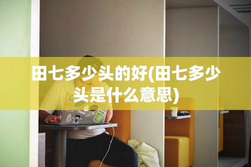 田七多少头的好(田七多少头是什么意思)
