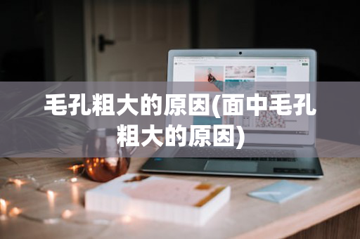 毛孔粗大的原因(面中毛孔粗大的原因)