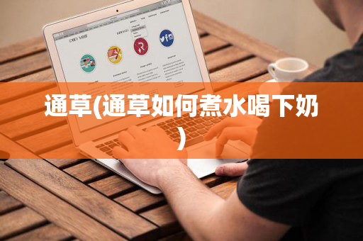 通草(通草如何煮水喝下奶)