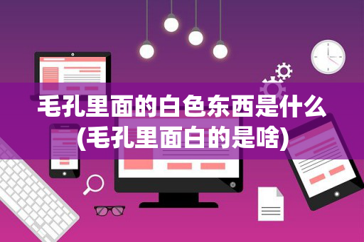 毛孔里面的白色东西是什么(毛孔里面白的是啥)