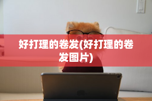 好打理的卷发(好打理的卷发图片)