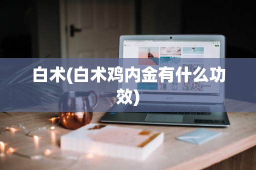 白术(白术鸡内金有什么功效)
