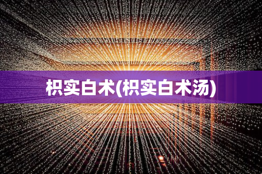 枳实白术(枳实白术汤)