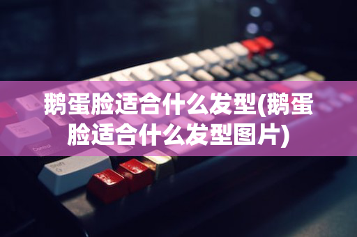 鹅蛋脸适合什么发型(鹅蛋脸适合什么发型图片)