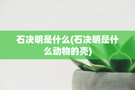 石决明是什么(石决明是什么动物的壳)
