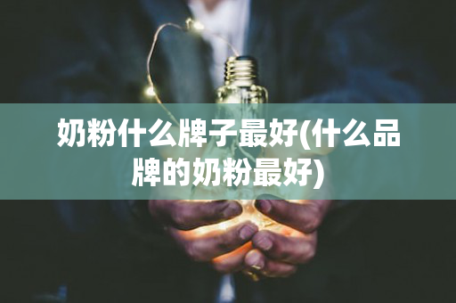 奶粉什么牌子最好(什么品牌的奶粉最好)