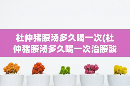 杜仲猪腰汤多久喝一次(杜仲猪腰汤多久喝一次治腰酸)