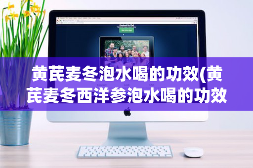 黄芪麦冬泡水喝的功效(黄芪麦冬西洋参泡水喝的功效)