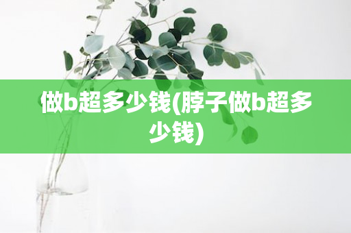 做b超多少钱(脖子做b超多少钱)
