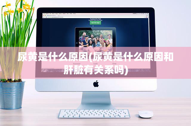 尿黄是什么原因(尿黄是什么原因和肝脏有关系吗)