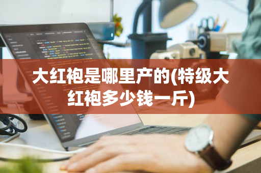 大红袍是哪里产的(特级大红袍多少钱一斤)