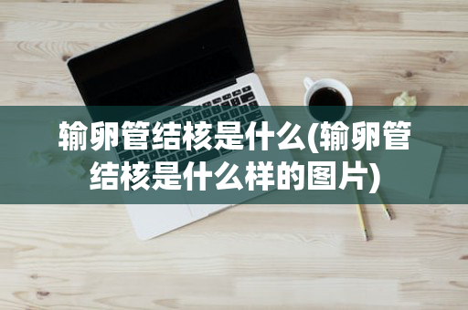输卵管结核是什么(输卵管结核是什么样的图片)