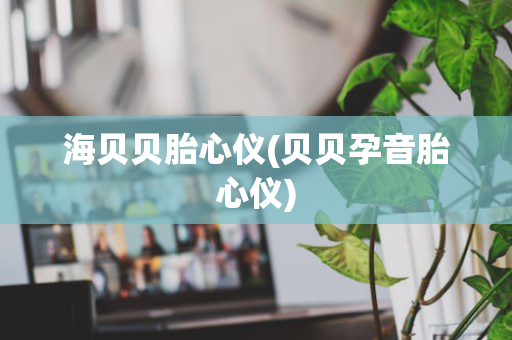 海贝贝胎心仪(贝贝孕音胎心仪)