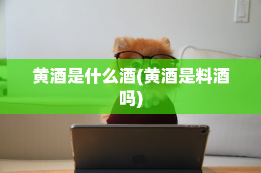 黄酒是什么酒(黄酒是料酒吗)
