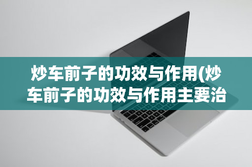 炒车前子的功效与作用(炒车前子的功效与作用主要治什么病)