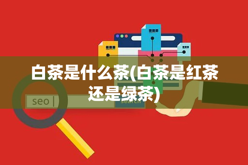 白茶是什么茶(白茶是红茶还是绿茶)