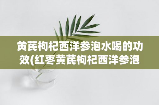黄芪枸杞西洋参泡水喝的功效(红枣黄芪枸杞西洋参泡水喝的功效)