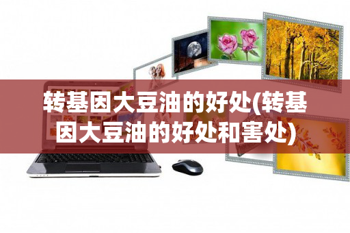 转基因大豆油的好处(转基因大豆油的好处和害处)