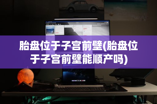 胎盘位于子宫前壁(胎盘位于子宫前壁能顺产吗)