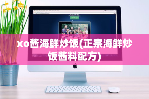 xo酱海鲜炒饭(正宗海鲜炒饭酱料配方)
