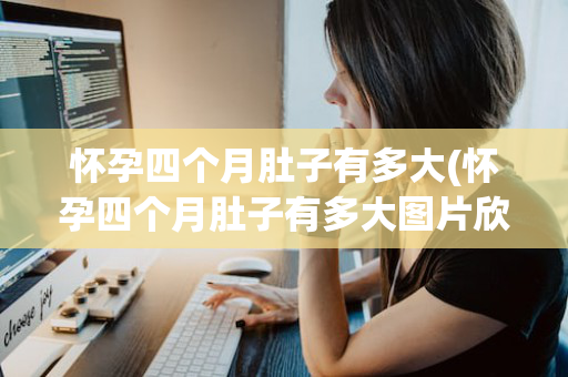 怀孕四个月肚子有多大(怀孕四个月肚子有多大图片欣赏)