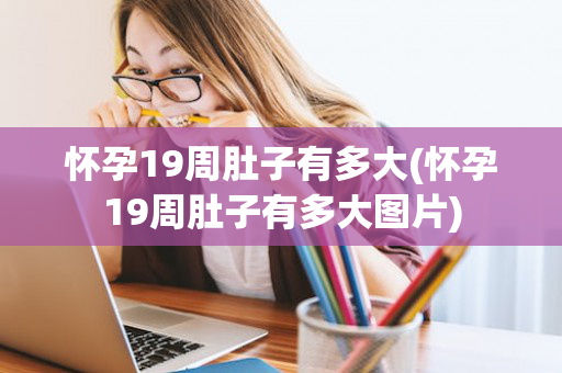 怀孕19周肚子有多大(怀孕19周肚子有多大图片)