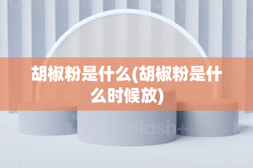 胡椒粉是什么(胡椒粉是什么时候放)