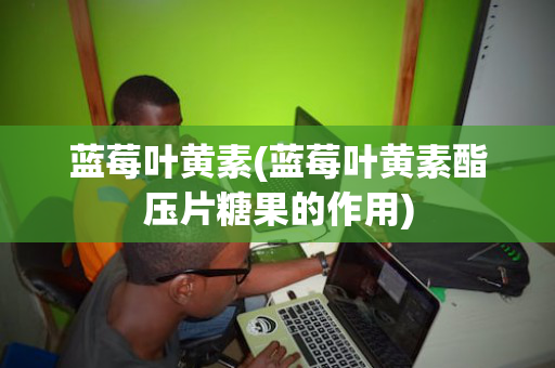 蓝莓叶黄素(蓝莓叶黄素酯压片糖果的作用)