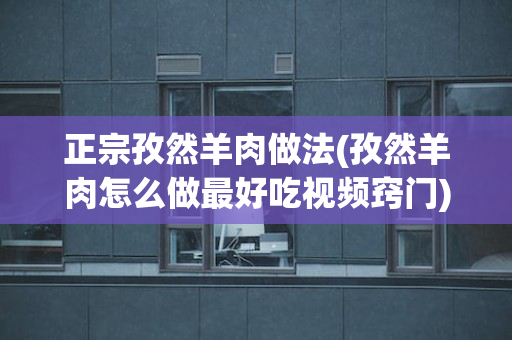 正宗孜然羊肉做法(孜然羊肉怎么做最好吃视频窍门)