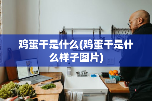鸡蛋干是什么(鸡蛋干是什么样子图片)