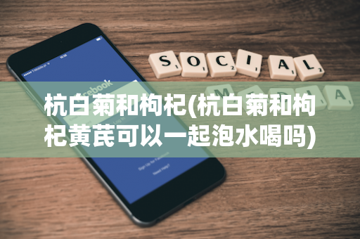 杭白菊和枸杞(杭白菊和枸杞黄芪可以一起泡水喝吗)