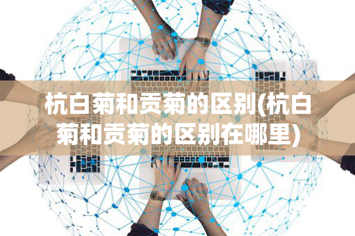 杭白菊和贡菊的区别(杭白菊和贡菊的区别在哪里)