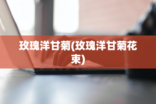 玫瑰洋甘菊(玫瑰洋甘菊花束)