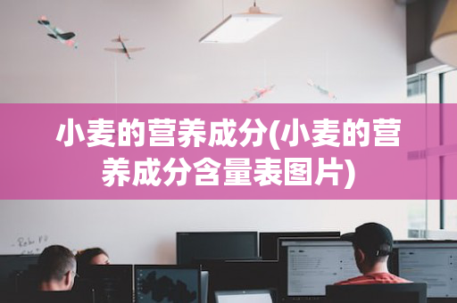 小麦的营养成分(小麦的营养成分含量表图片)