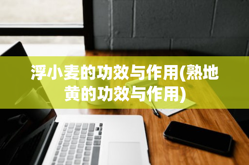 浮小麦的功效与作用(熟地黄的功效与作用)