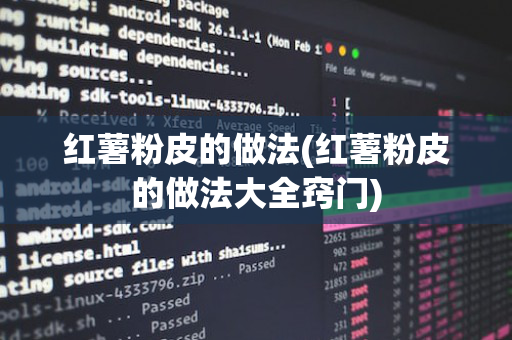 红薯粉皮的做法(红薯粉皮的做法大全窍门)