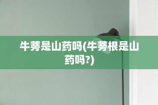 牛蒡是山药吗(牛蒡根是山药吗?)