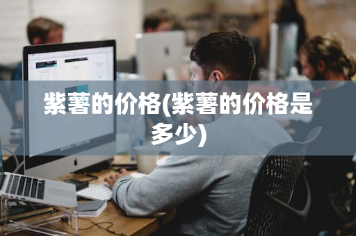 紫薯的价格(紫薯的价格是多少)