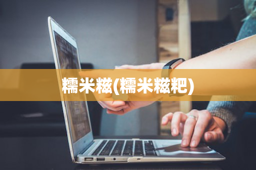 糯米糍(糯米糍粑)