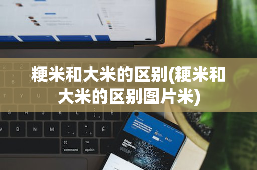 粳米和大米的区别(粳米和大米的区别图片米)