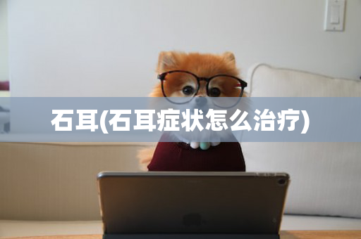 石耳(石耳症状怎么治疗)