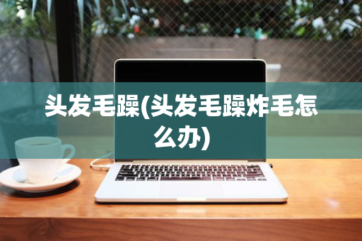 头发毛躁(头发毛躁炸毛怎么办)