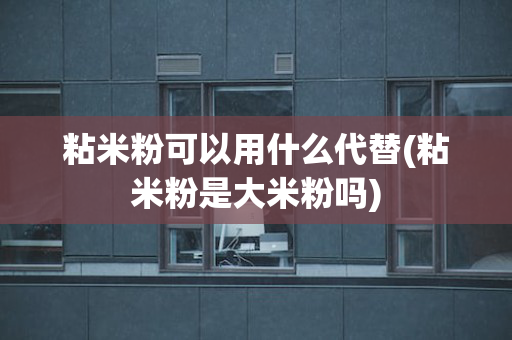 粘米粉可以用什么代替(粘米粉是大米粉吗)